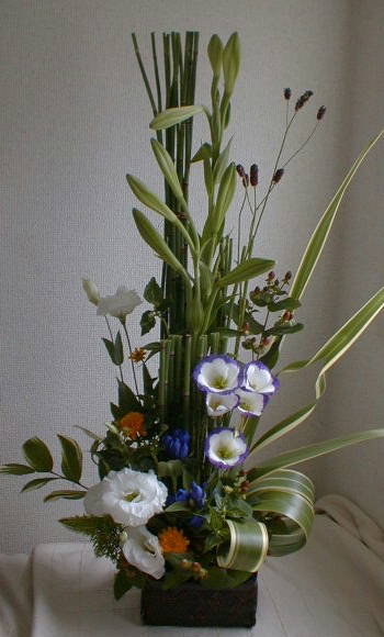 �S�C�����A�g���R�L�L���E�A�q���q�}�����A�q�y���J���A�g�N�T�A�j���E�T�C����