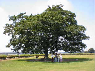 �􂨁`�����` �Ȃɂ���Ă񂾂낧�`��