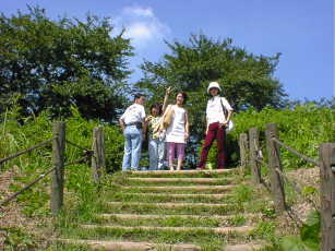 �����˂��B�ǂ�����H�悵���A�o�낤�I