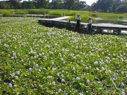 �I�I�o�R�������悤�ȋC���c