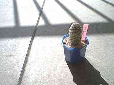 ���������`��